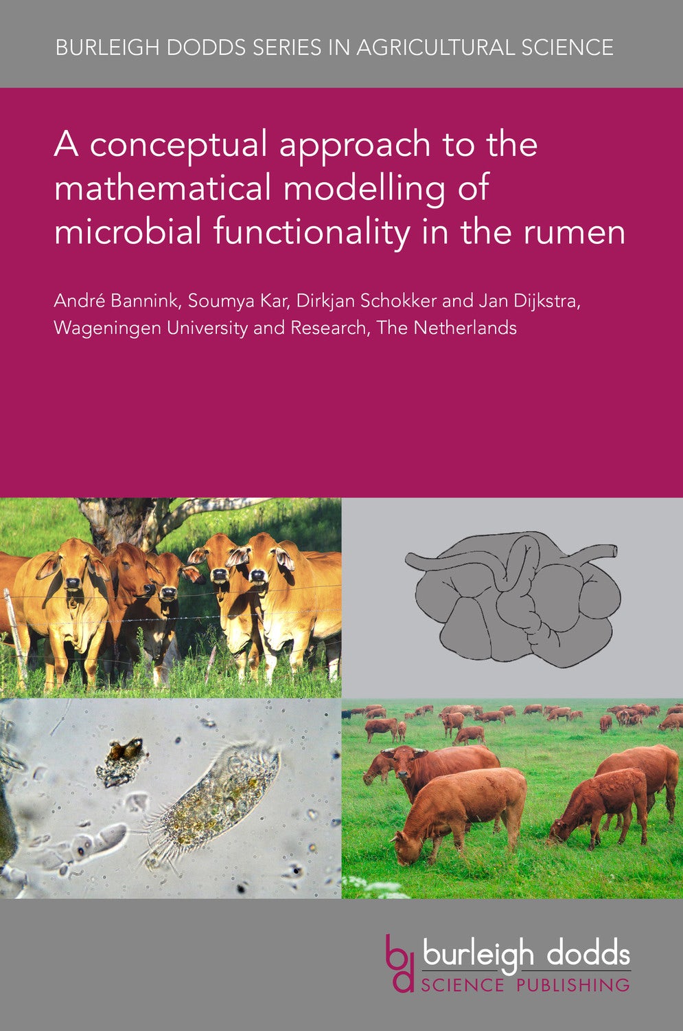 Book cover image for A conceptual approach to the mathematical modelling of microbial functionality in the rumen ISBN: 9781786767943